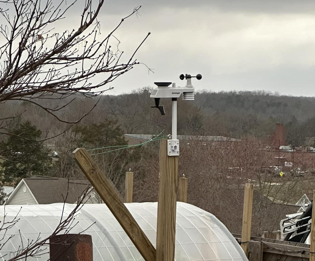 Optimizing Greenhouse Conditions with Sainlogic Weather Stations During Outdoor Weather Changes