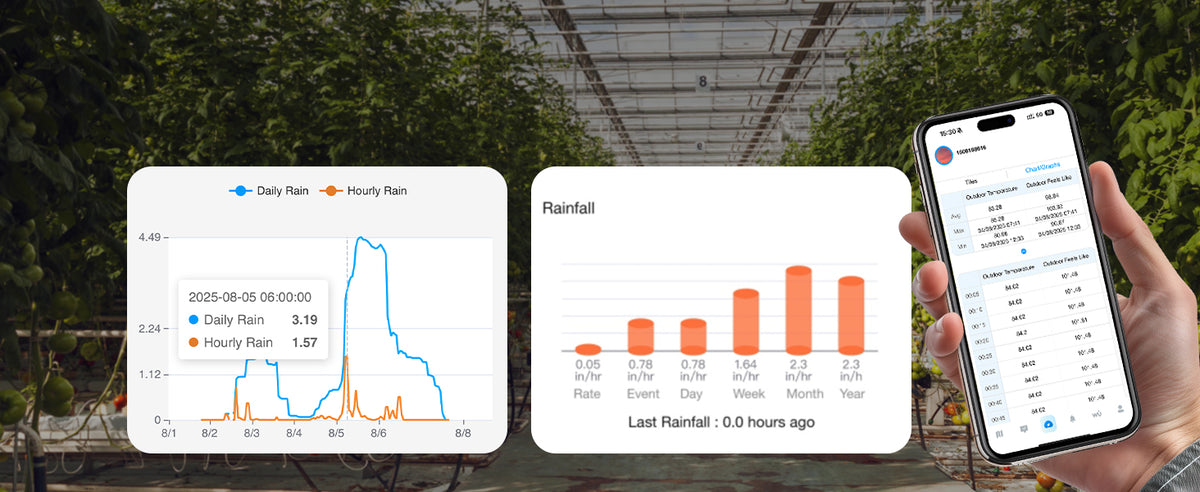 Rainfall records in Weatherseed