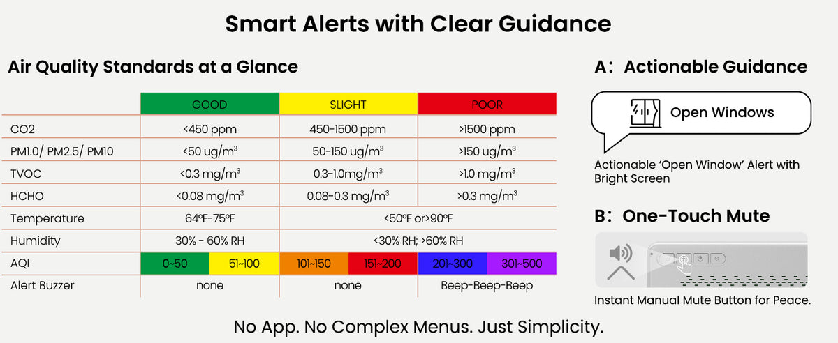 Sainlogic Professional Air Quality Monitor product details